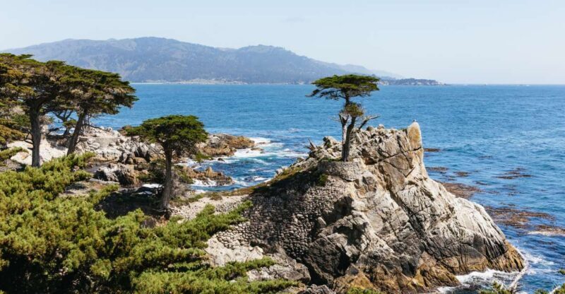 From San Francisco: Monterey and Carmel Day Tour - Key Points