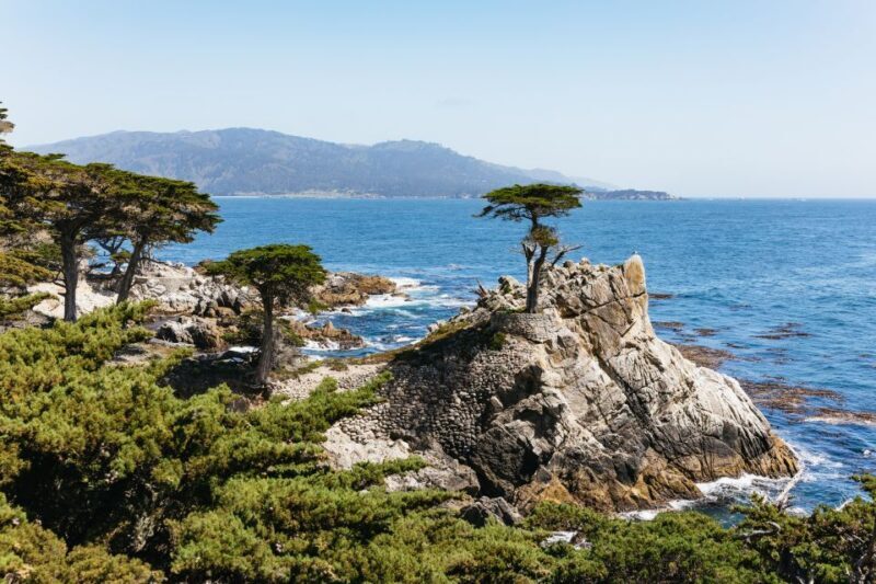 From San Francisco: Monterey and Carmel Day Tour - A Deep Dive into the Experience