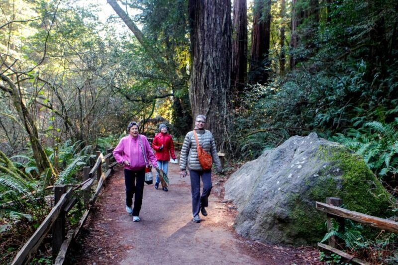 From San Francisco: Muir Woods & 3 Wineries in Napa & Sonoma - Pricing and Overall Value