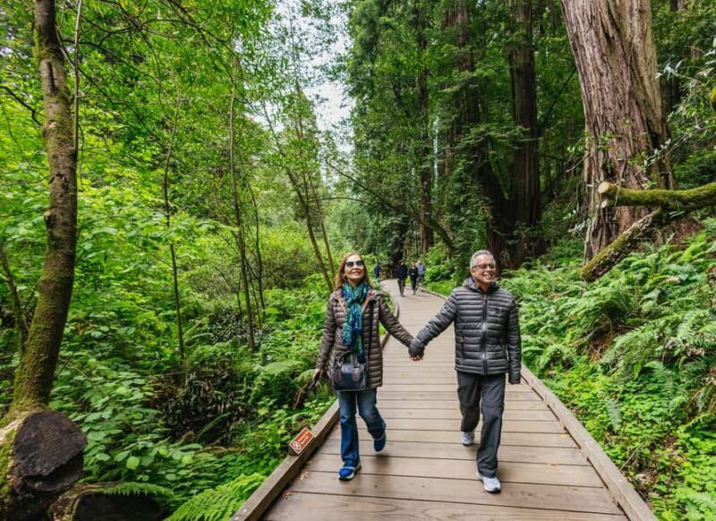 From San Francisco: Muir Woods, Sausalito and Alcatraz Tour - What We Loved and What Could Be Better