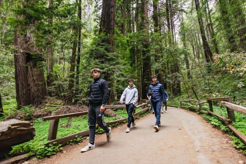 From San Francisco: Muir Woods, Sausalito and Alcatraz Tour - Frequently Asked Questions