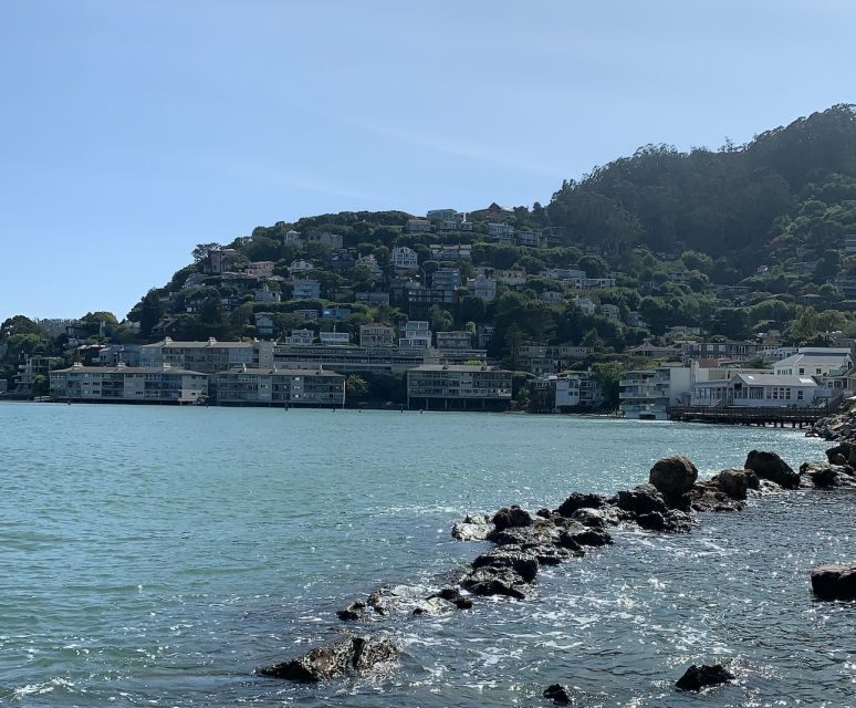 From San Francisco: Private Muir Woods and Napa Wine Tour - The Transportation — Comfort and Convenience