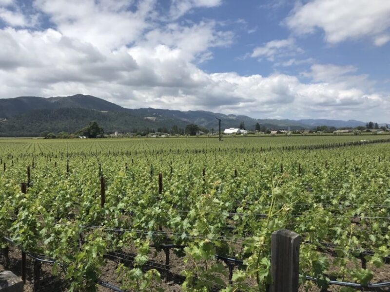 From San Francisco: Private Muir Woods and Napa Wine Tour - Wine Tasting and Additional Costs