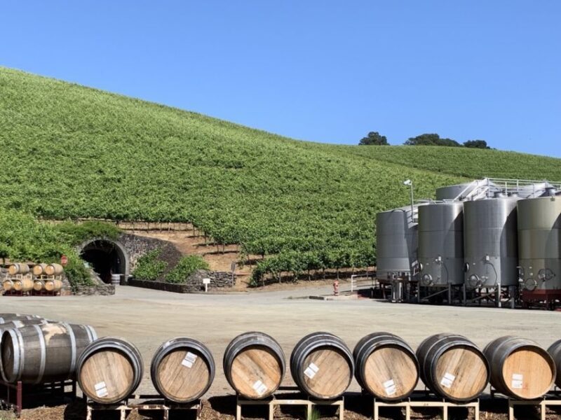 From San Francisco: Private Muir Woods and Napa Wine Tour - Who Will Love This Tour?