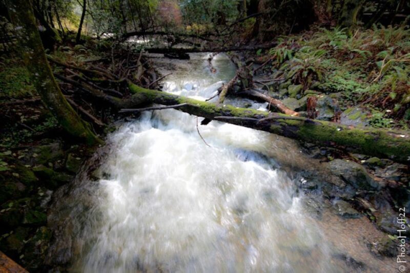 From San Francisco: Private Muir Woods and Napa Wine Tour - FAQ