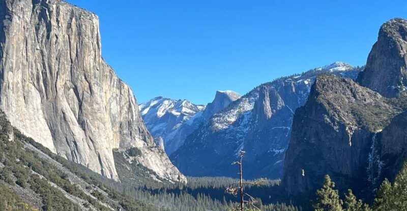 From San Francisco: Yosemite Private Full-Day Trip - The guide and overall experience