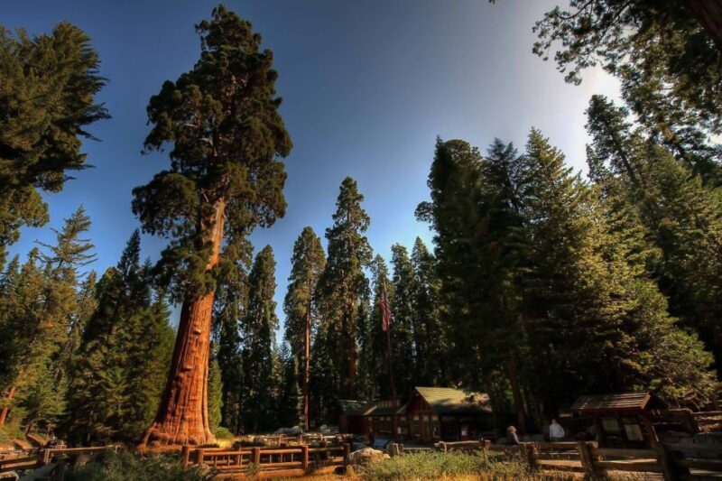 From San Francisco: Yosemite Private Full-Day Trip - Pricing and value