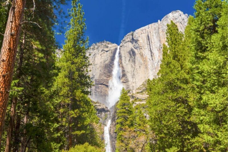 From San Francisco: Yosemite & Tahoe Sierras 4-Day Trip - Practical Details and What You Get