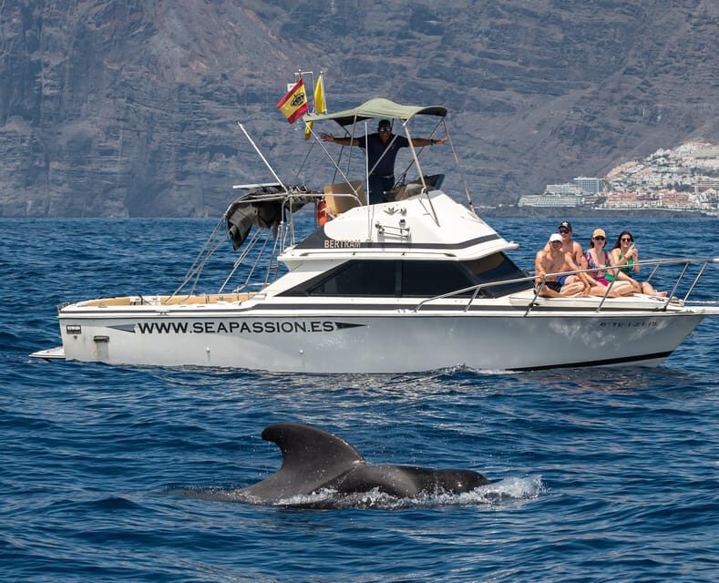 From San Juan beach : Marine Life Cruise - Final thoughts