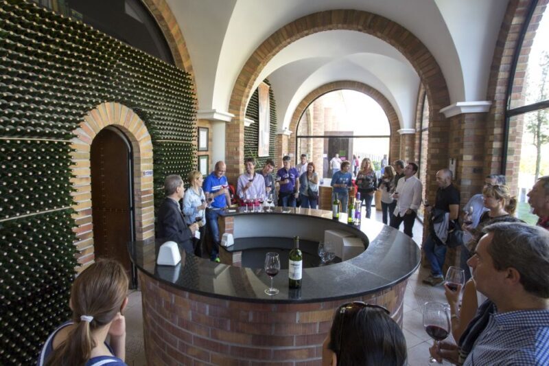 From San Sebastian/Bilbao/Vitoria: La Rioja Wineries Tour - Practical Details