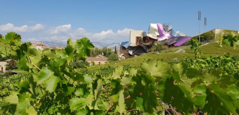 From San Sebastian/Bilbao/Vitoria: Rioja Wine Tour w/ Lunch - What Makes This Tour Stand Out?