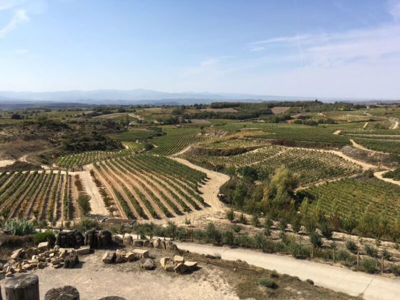 From San Sebastian/Bilbao/Vitoria: Rioja Wine Tour w/ Lunch - Who Should Consider This Tour?