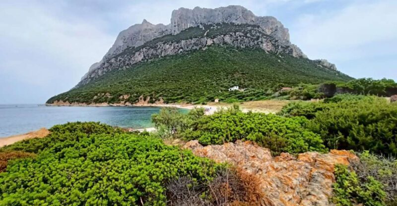 From San Teodoro: Tavolara Archipelago Dinghy Mini Tour - Key Points