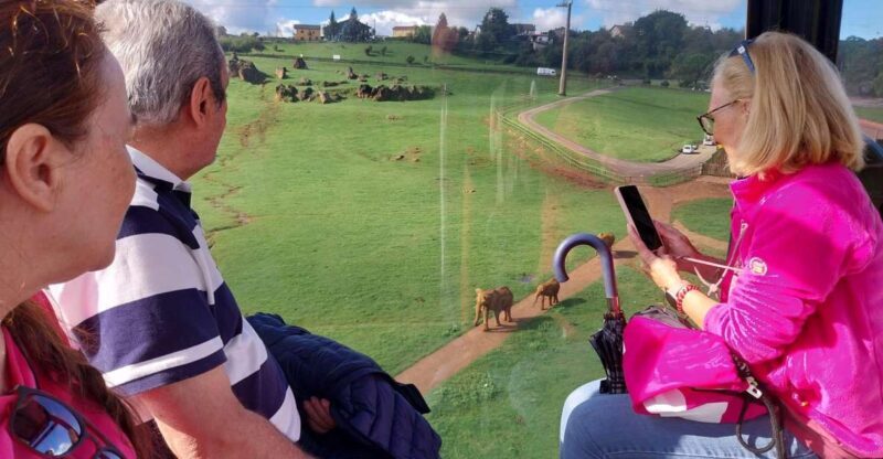 From Santander: Cabarceno Natural Park Half-Day Trip - The Experience and Its Value