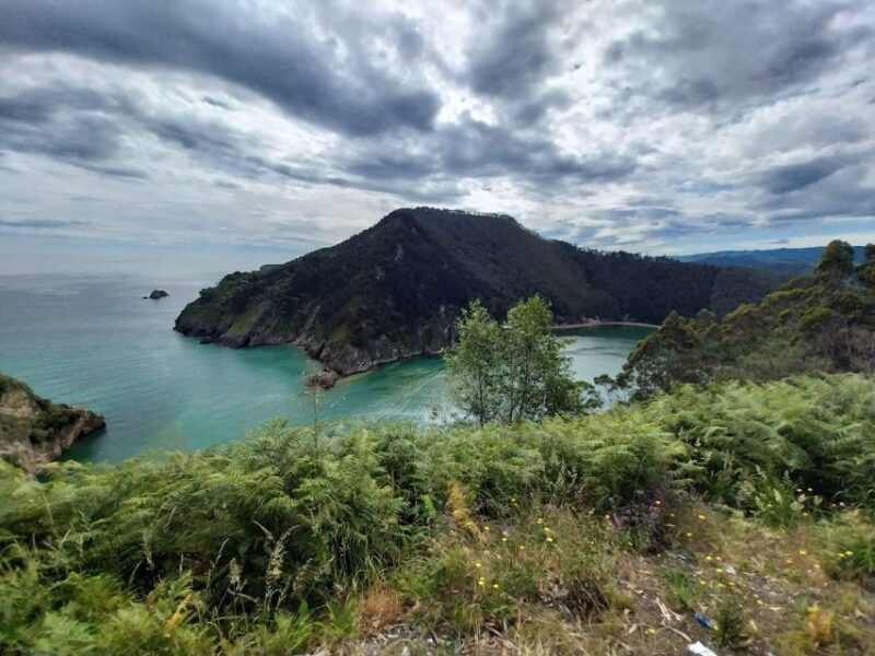 From Santander or Torrelavega: Soplao Cave Excursion - The Reviews: What Travelers Say