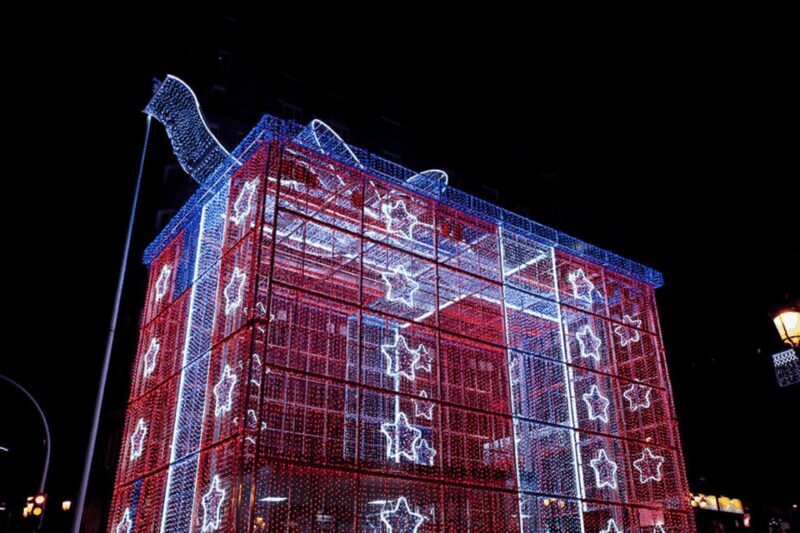 From Santiago: Christmas Lights of Vigo And Pontevedra - Who Is This Tour Best For?