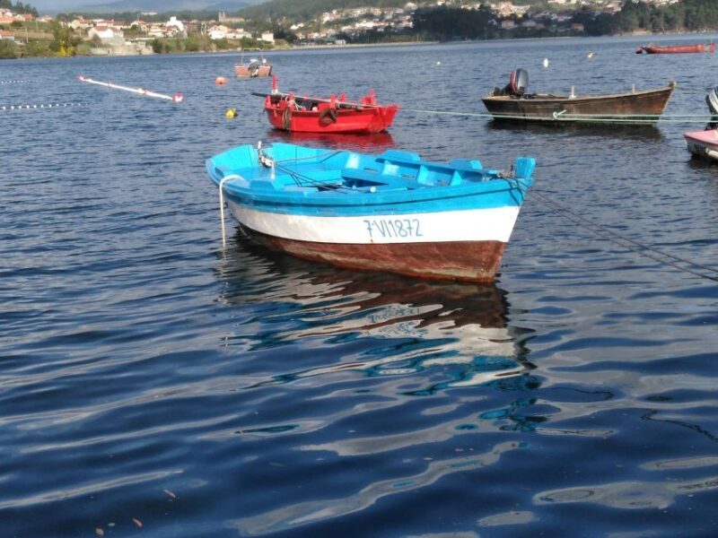 From Santiago: Tour Rias Baixas, Isla de Arousa y Combarro - Key Points