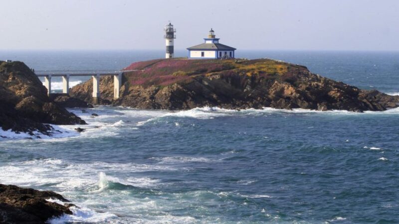 From Santiago: Tour to Cathedral Beach, Asturias, and Pancha - Key Points