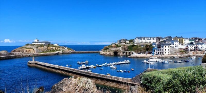 From Santiago: Tour to Cathedral Beach, Asturias, and Pancha - Authentic Traveler Insights