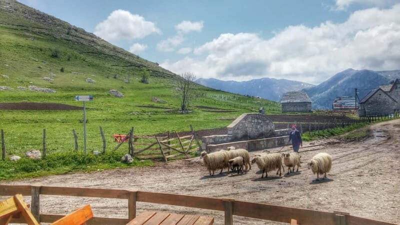From Sarajevo: Full-Day Hike to Lukomir Village - FAQ