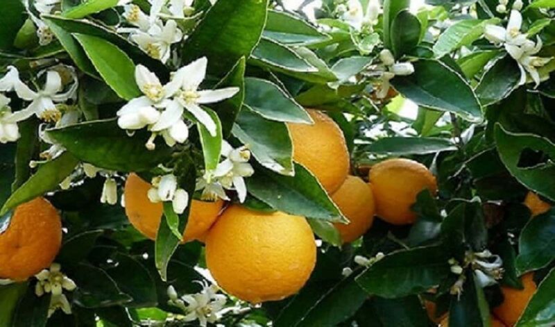 From Saranda To Konispol & Mursi by Vivari Channel - Final Thoughts