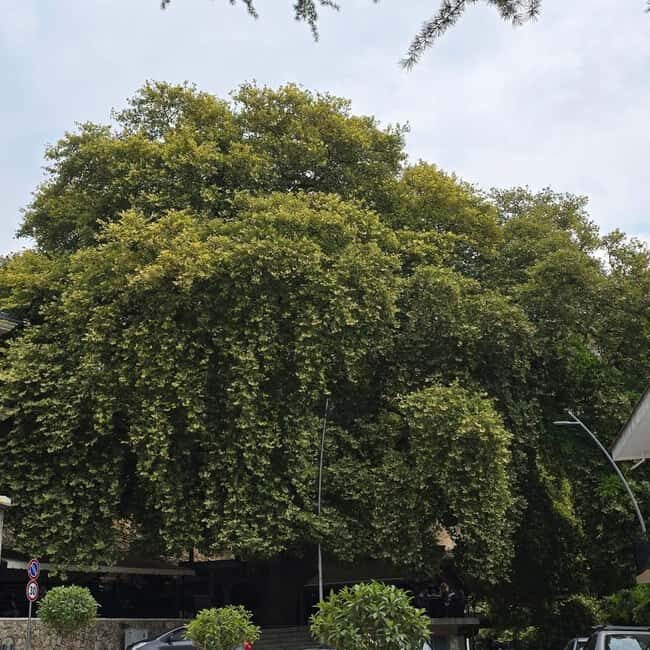 From Saranda: Visit Viroi Lake, Labova Church & Libohovë - Exploring the Tour in Detail