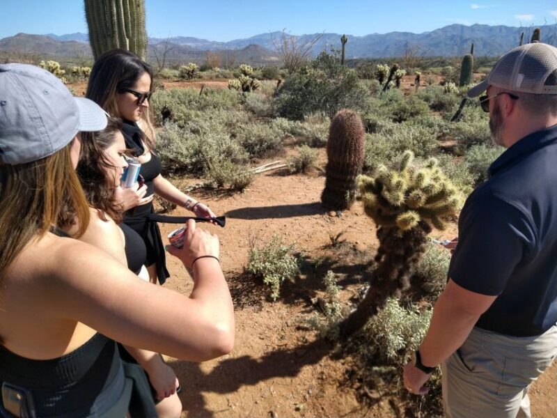 From Scottsdale: Sonoran Desert & Tonto National Forest Trip - The Group and Duration