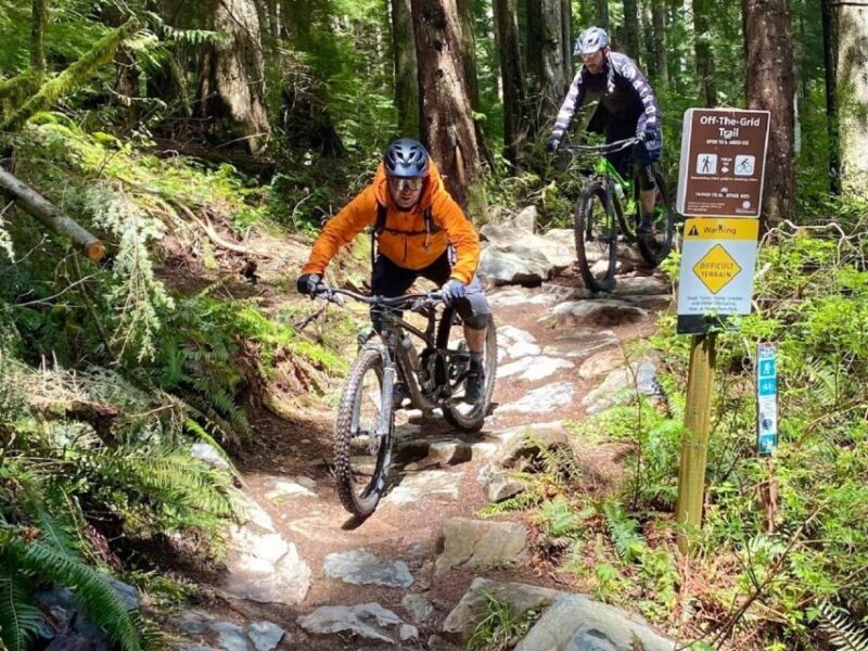 From Seattle: Full Day All-Inclusive Mountain Bike Tour - What to Expect from the Tour