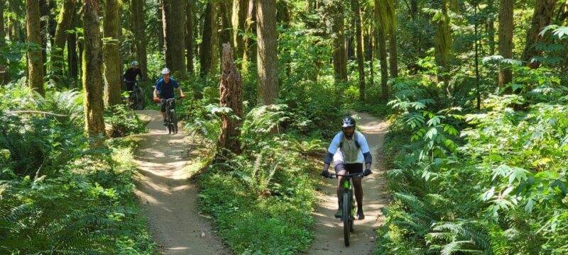 From Seattle: Full Day All-Inclusive Mountain Bike Tour - Equipment and Inclusions