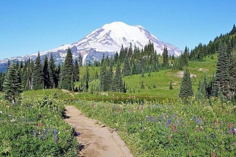 From Seattle: Full-Day Mt Rainier National Park Tour - What to Expect on the Tour
