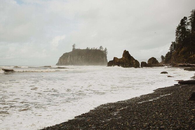 From Seattle Hoh rain forest and Olympic National Park Highlight - Final Thoughts
