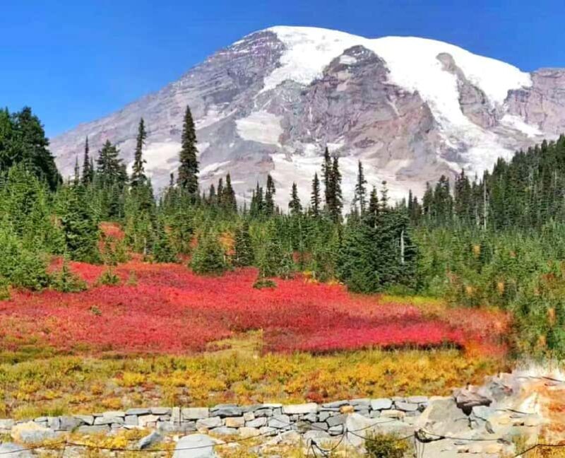From Seattle: Mount Rainier National Park 1-Day Tour - How the Day Unfolds