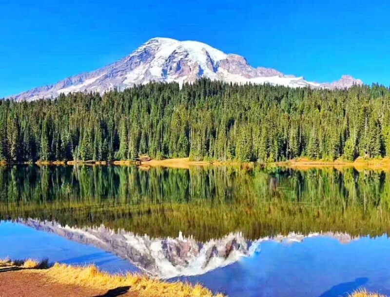 From Seattle: Mount Rainier National Park 1-Day Tour - FAQs