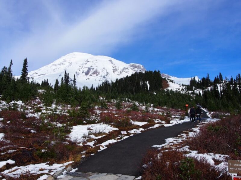 From Seattle: Mount Rainier National Park Guided Tour - Transportation and Group Size