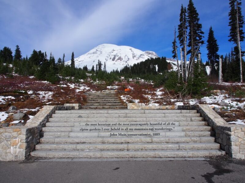 From Seattle: Mount Rainier National Park Guided Tour - The Sum Up