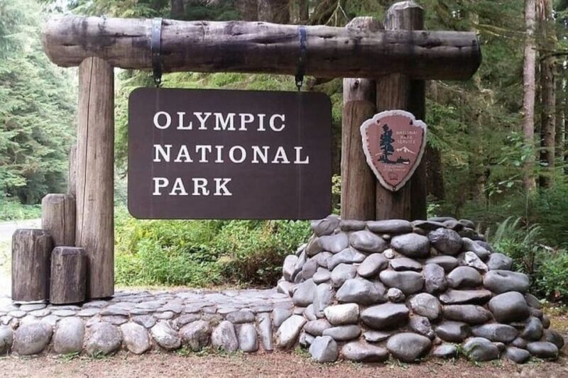 From Seattle: Olympic National Park Full Day Tour - What Makes This Tour Stand Out?