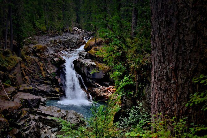 From Seattle: Private Tour to Mt. Rainier - The Practicalities