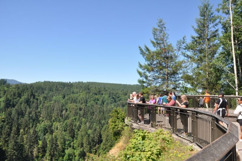 From Seattle: Snoqualmie Falls and Wineries Tour w/ Transfer - Who Is This Tour Best For?