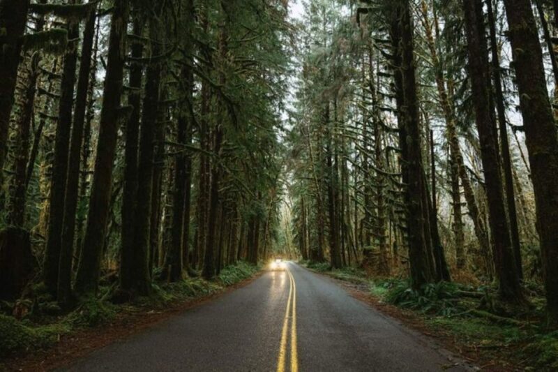 From Seattle: Twilight Forks Washington Tour - The Full Experience Breakdown