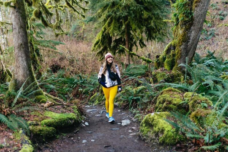 From Seattle: Visit Snoqualmie Falls and Hike to Twin Falls - Insights from Reviews: What Past Travelers Think