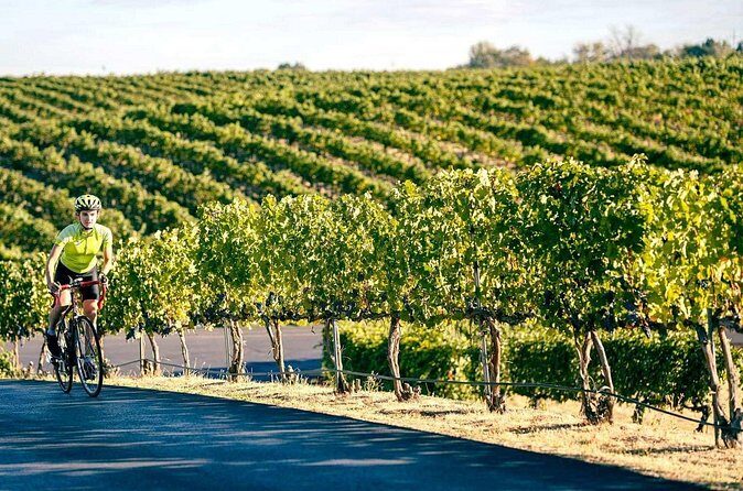 From Seattle Wine Tasting, Vineyards in Eastern WA - Timing & Pacing