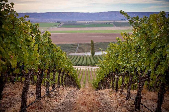 From Seattle Wine Tasting, Vineyards in Eastern WA - The Practical Side: Price and Considerations