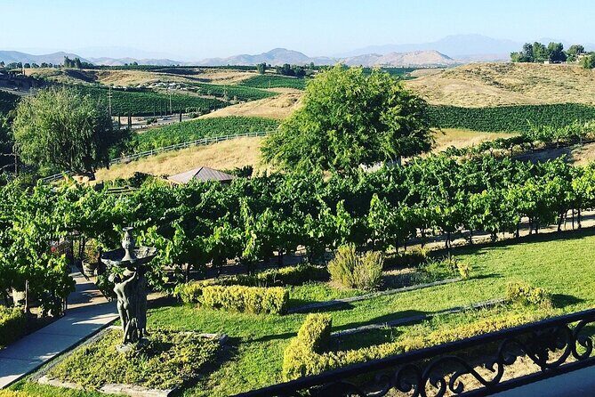 From Seattle Wine Tasting, Vineyards in Eastern WA - Who Would Enjoy This Tour?