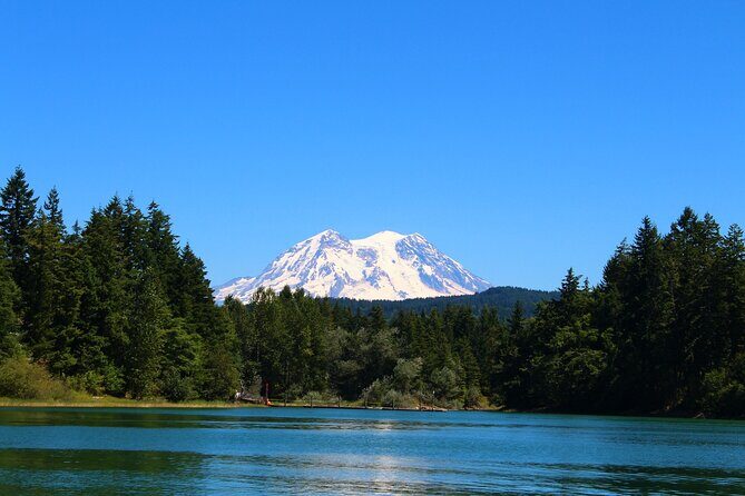 From Seattle:Hiking in Mount Rainier Private Tour - Exploring the Mount Rainier Private Hiking Tour from Seattle
