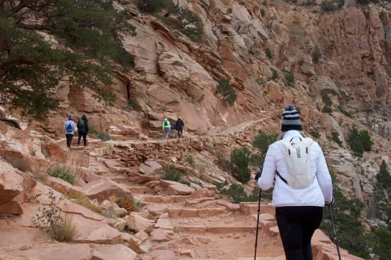 From Sedona: Grand Canyon Guided Tour - An Overview of the Tour Experience