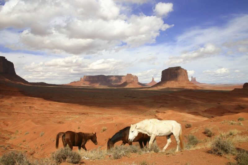 From Sedona or Flagstaff: Full-Day Monument Valley Tour - FAQ