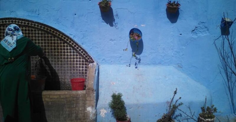 From Seville: 2-Day Trip to Tangier - Who This Tour Is Best For