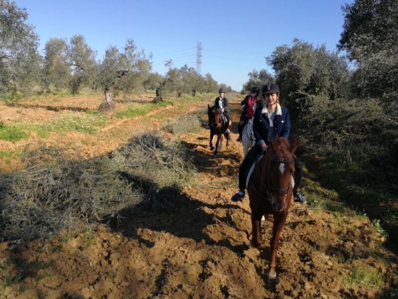 From Seville: Andalusian Horseback Ride - Key Points