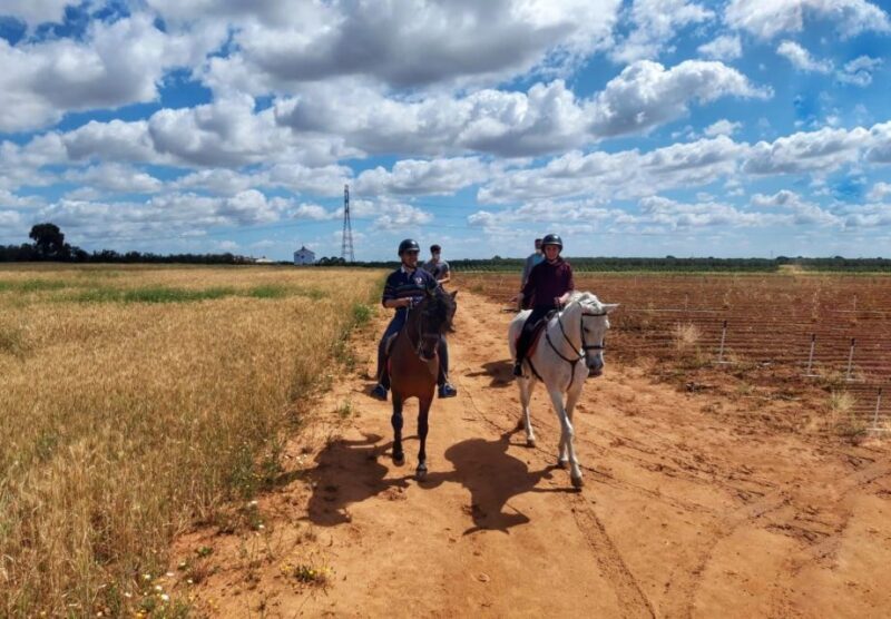 From Seville: Andalusian Horseback Ride - The Cost and Value