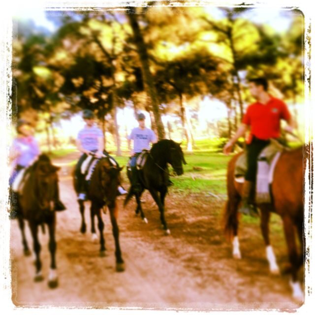 From Seville: Andalusian Horseback Ride - Authentic Moments and Unique Highlights